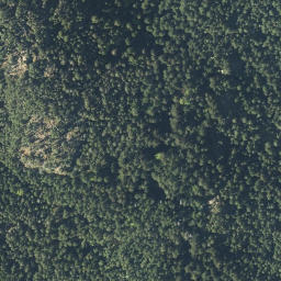 Satellite imagery of Powell Hill, CA