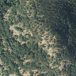 Satellite imagery of Powell Hill, CA