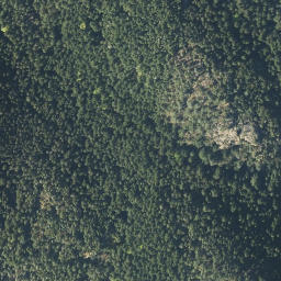 Satellite imagery of Powell Hill, CA