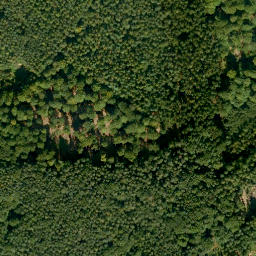 Satellite imagery of Martinsberg, DE