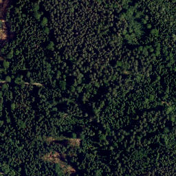 Satellite imagery of Leiterfelsen, DE