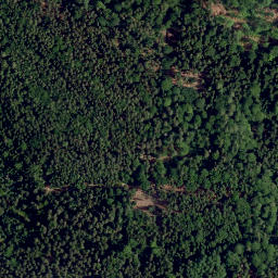 Satellite imagery of Eichstein, DE