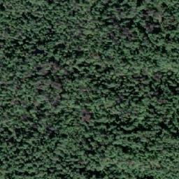 Satellite imagery of Grassy Point, CA