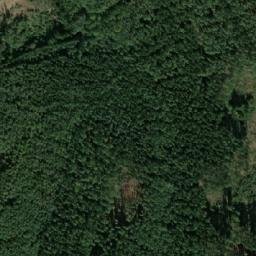 Satellite imagery of Zadní Puchýř [Kaznějov], CZ