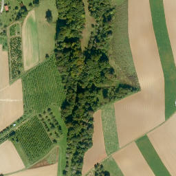 Satellite imagery of Eichelhöhe, DE
