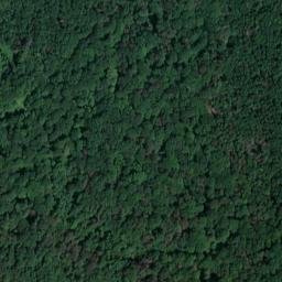 Satellite imagery of Murrleinsnest, DE