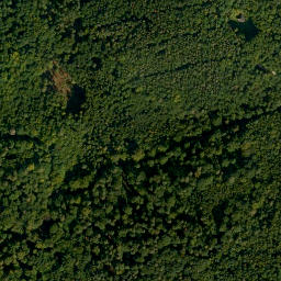 Satellite imagery of Michelsberger Wald, DE