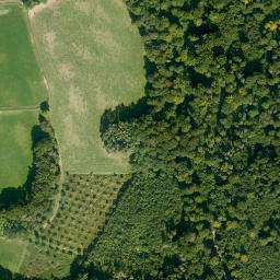 Satellite imagery of Dachsberg, DE