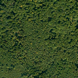 Satellite imagery of Dachsberg, DE