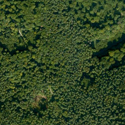 Satellite imagery of Dachsberg, DE