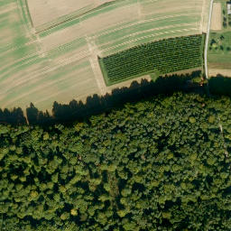 Satellite imagery of Eichelhöhe, DE