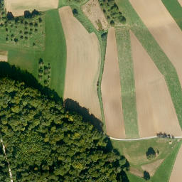 Satellite imagery of Eichelhöhe, DE