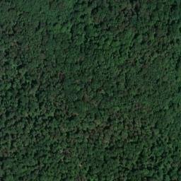 Satellite imagery of Murrleinsnest, DE