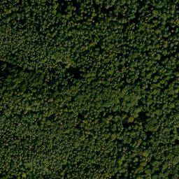 Satellite imagery of Weipelsdorfer Wald, DE