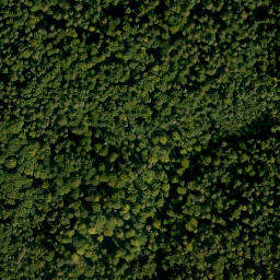 Satellite imagery of Weipelsdorfer Wald, DE
