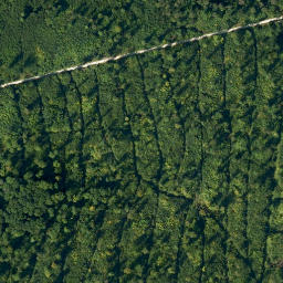 Satellite imagery of Geisberg, DE