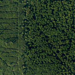 Satellite imagery of Geisberg, DE