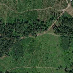 Satellite imagery of (Hrbokovské lesy) [Mladoňovice-Pohled], CZ