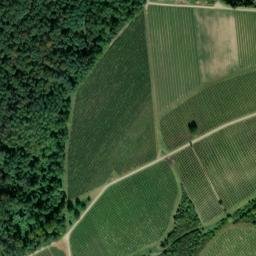 Satellite imagery of Steinberg, DE