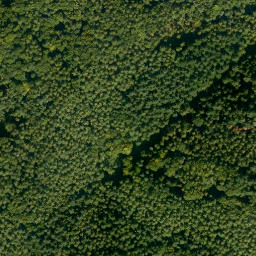 Satellite imagery of Langenberg, DE