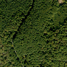Satellite imagery of Hohe Warte, DE