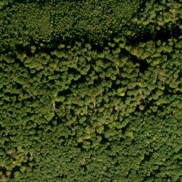 Satellite imagery of Hohe Warte, DE