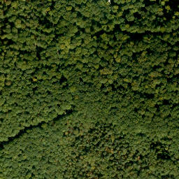 Satellite imagery of Hohe Warte, DE