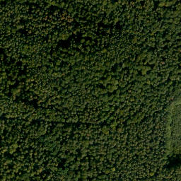 Satellite imagery of Weipelsdorfer Wald, DE