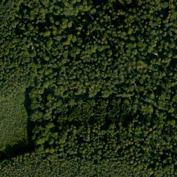 Satellite imagery of Weipelsdorfer Wald, DE
