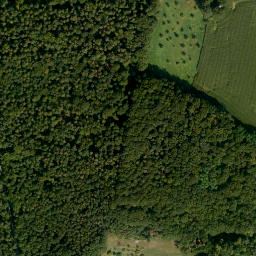 Satellite imagery of Michelsberger Wald, DE