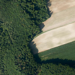 Satellite imagery of Hoher Stein, DE