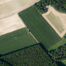 Satellite imagery of Hoher Stein, DE