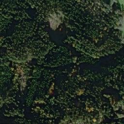 Satellite imagery of Homole [Planá - Kříženec], CZ