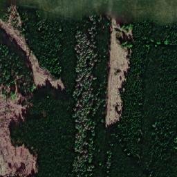 Satellite imagery of U Cikánského buku [Rohle], CZ