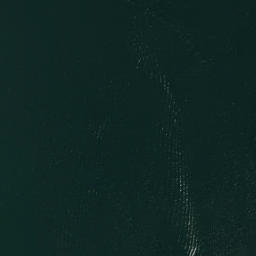 Satellite imagery of Siwash Point, CA