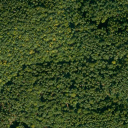 Satellite imagery of Brunnberg, DE