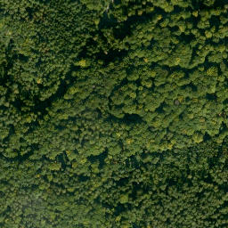 Satellite imagery of Langenberg, DE