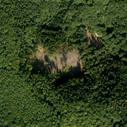 Satellite imagery of Eichenberg, DE