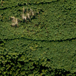 Satellite imagery of Hohe Warte, DE