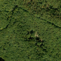 Satellite imagery of Hohe Warte, DE