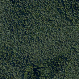 Satellite imagery of Seelenzen, DE