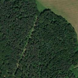 Satellite imagery of Bučina, CZ