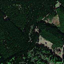 Satellite imagery of U Cikánského buku [Rohle], CZ