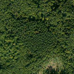 Satellite imagery of Rosenberg, DE