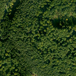 Satellite imagery of Dornberg, DE