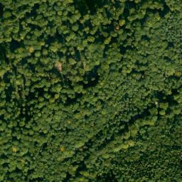 Satellite imagery of Dornberg, DE