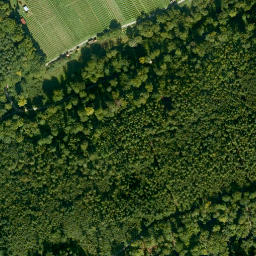 Satellite imagery of Dornberg, DE