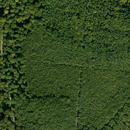 Satellite imagery of Plattenberg, DE