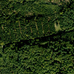 Satellite imagery of Dürrenberg, DE