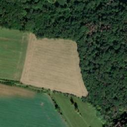 Satellite imagery of Lichnice (castle), CZ